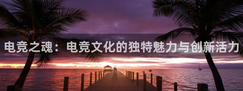 泛亚电竞比赛：电竞之魂：电竞文化的独特魅力与创新活力