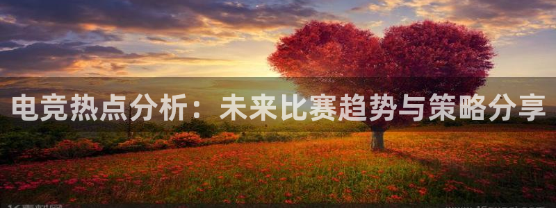 泛亚电竞平：电竞热点分析：未来比赛趋势与策略分享