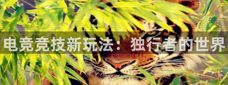 im电竞和泛亚电竞有什么区别：电竞竞技新玩法：独行者的世界