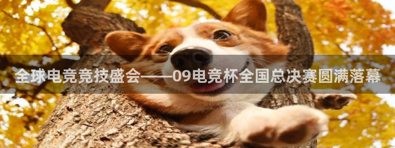 泛亚电竞平：全球电竞竞技盛会——09电竞杯全国总决赛圆满落幕