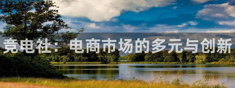 泛亚电竞平台手机版：竞电社：电商市场的多元与创新