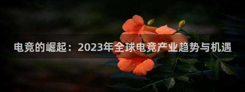 安卓版泛亚电竞：电竞的崛起：2023年全球电竞产业趋势与机遇